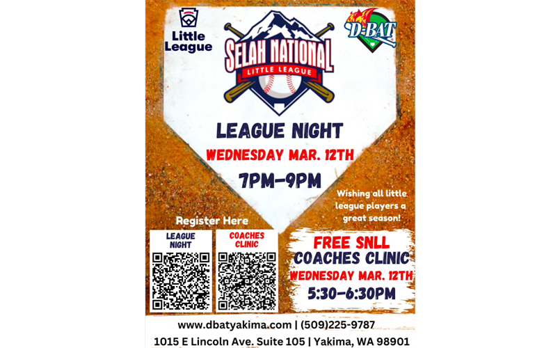 D-Bat League Night